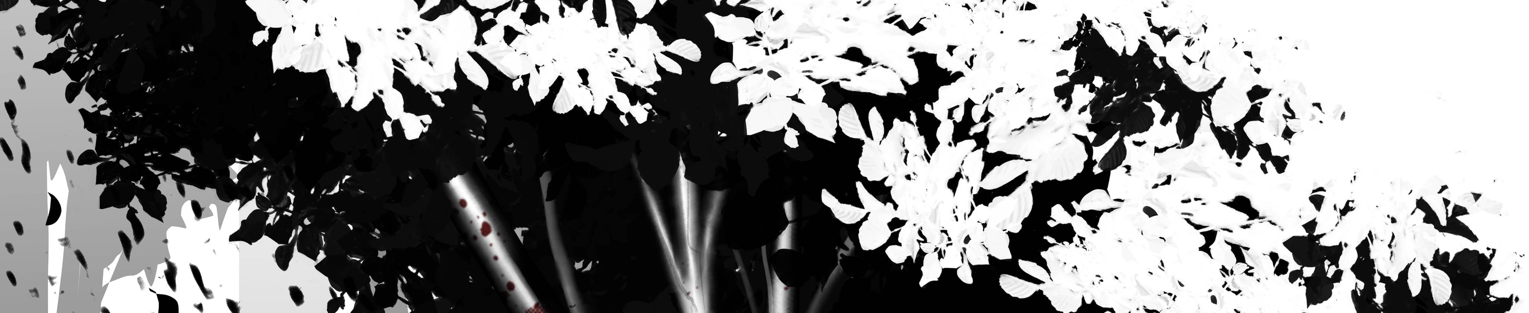 Image 43 Cut